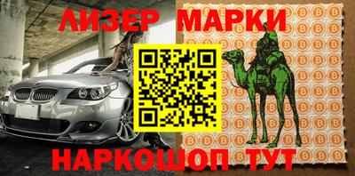 a pvp Кингисепп