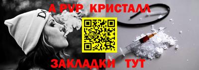 a pvp Кингисепп