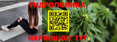 a pvp Кингисепп