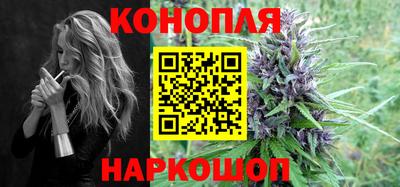 a pvp Кингисепп