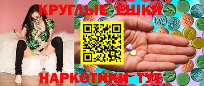 a pvp Кингисепп
