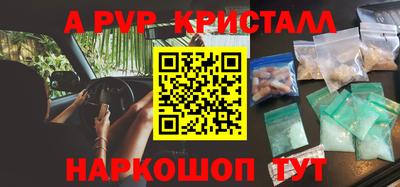 a pvp Кингисепп