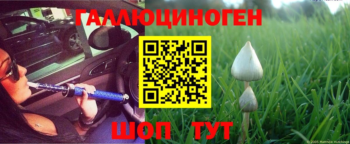 купить  сайты  Псилоцибиновые грибы ЛСД  Вход с VPN  Крымск  Псилоцибиновые грибы ЛСД 