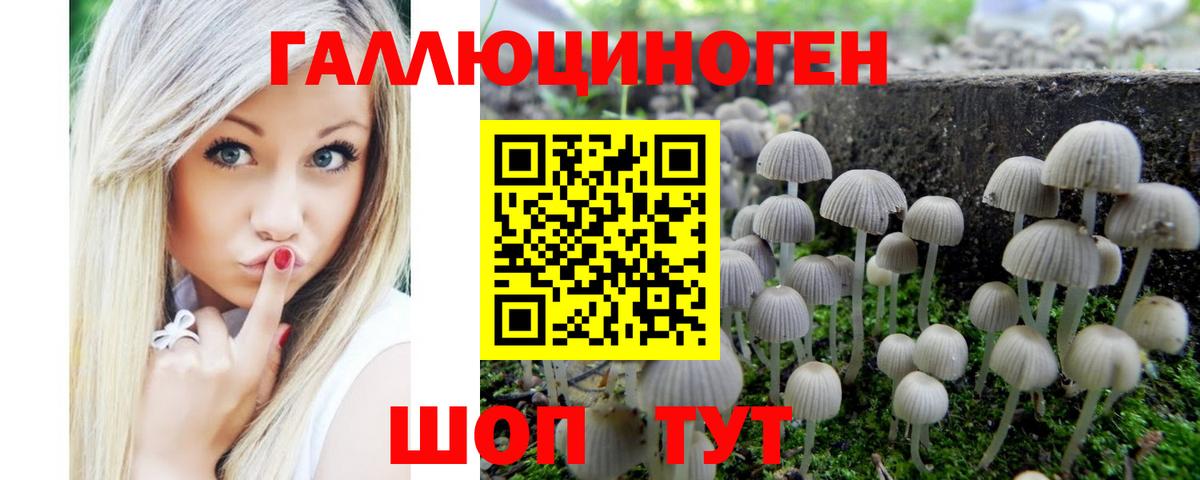 Галлюциногенные грибы прущие грибы Крымск
